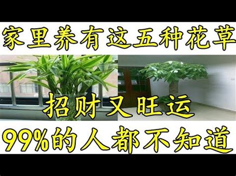 玄關招財植物|玄關風水大揭密！想招財卻沒方向？3種植物放門口助旺財運